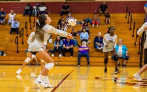  girl playing volleyball